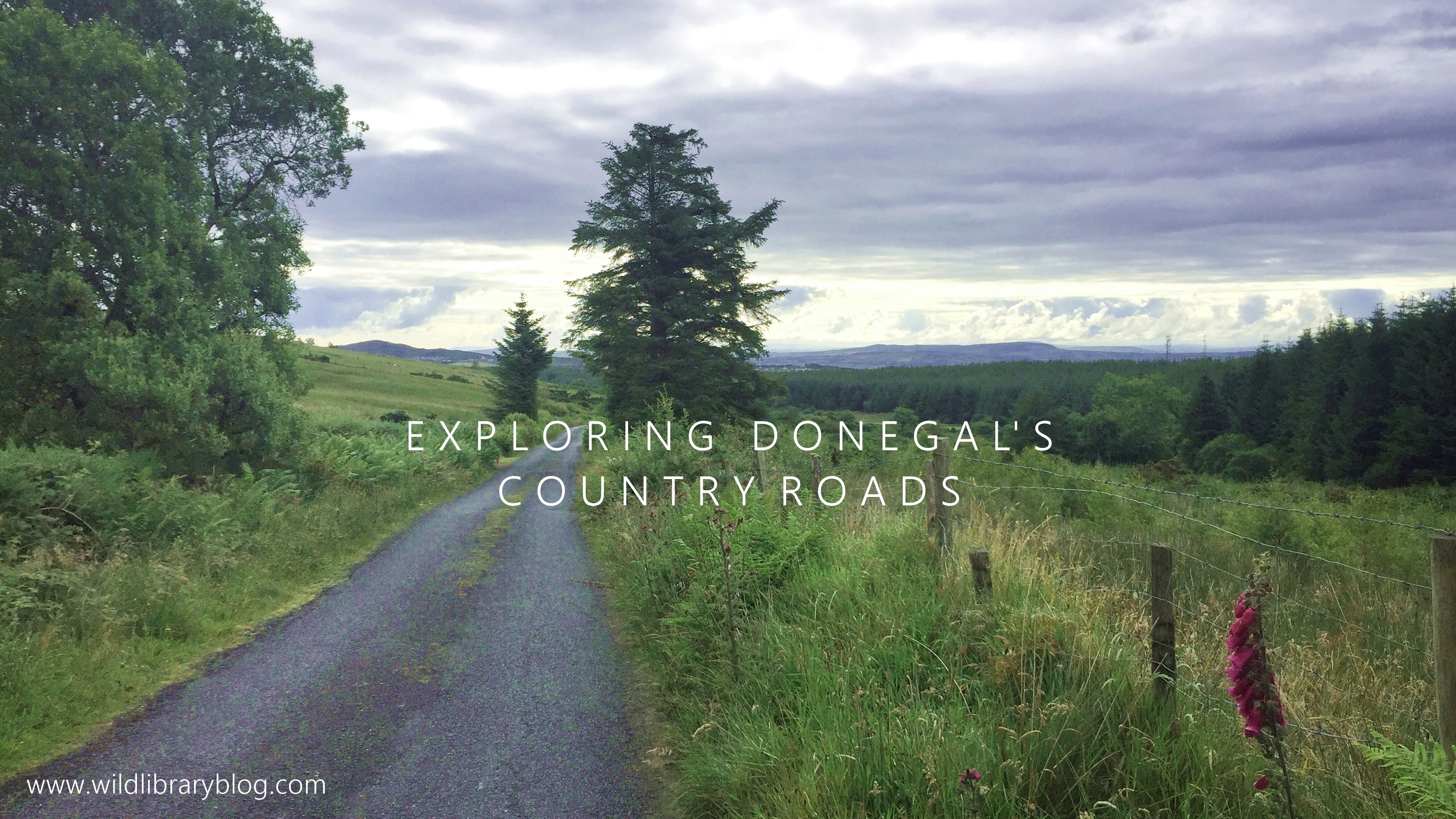 donegal's country roads_wild library blog