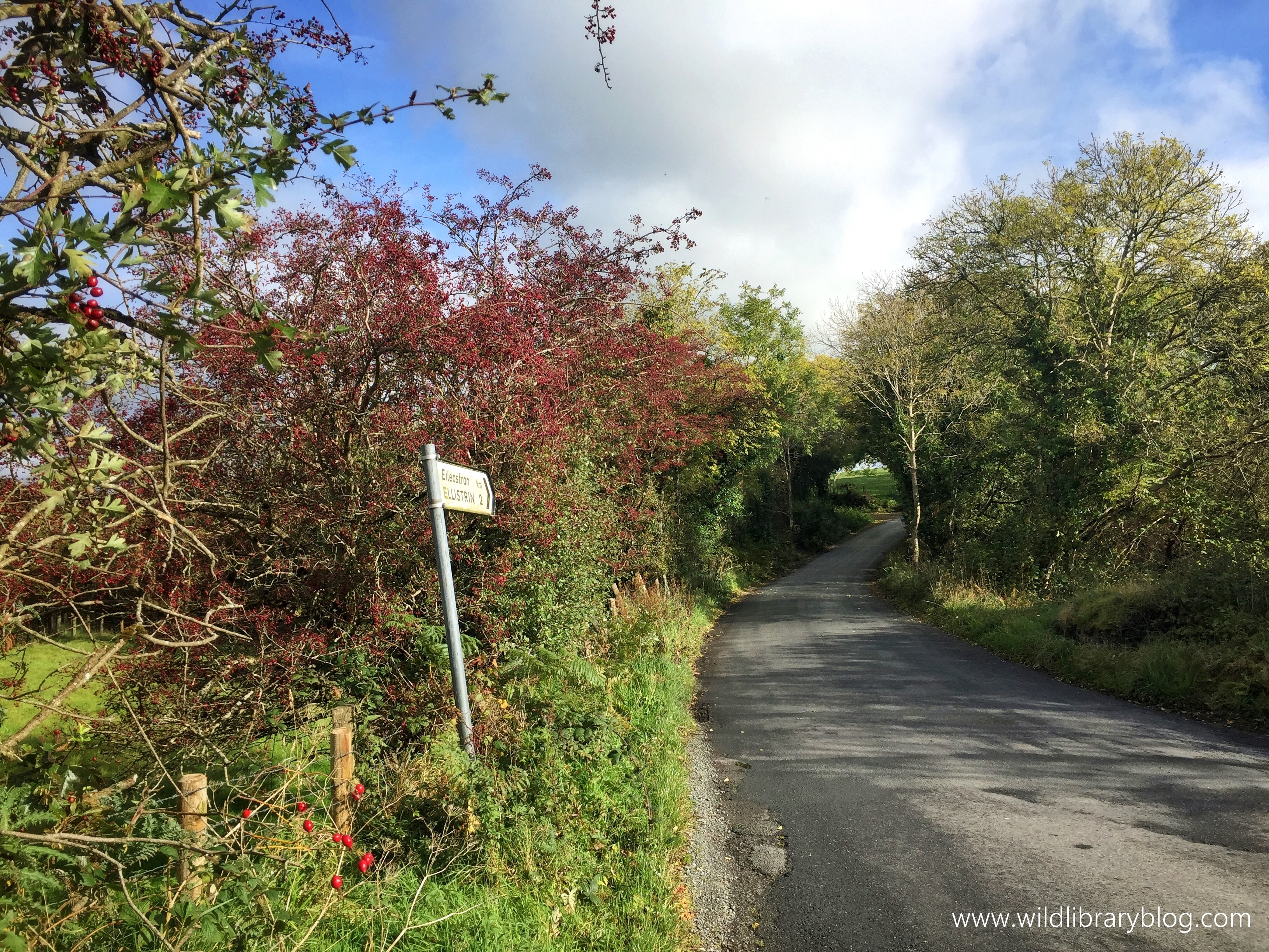 Walking on Donegal's country roads_wildlibraryblog3
