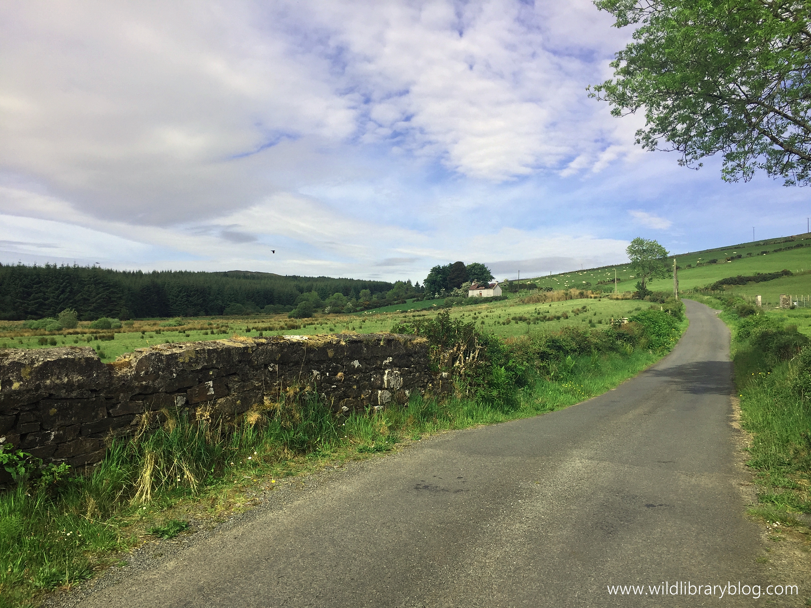 Walking on Donegal's country roads_wildlibraryblog5