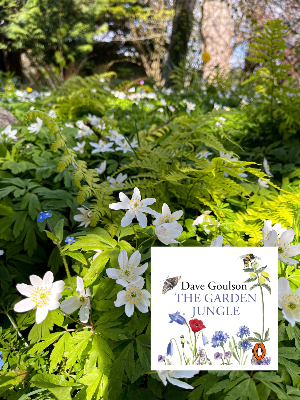 The Garden Jungle by Dave Goulson – Book Recommendation