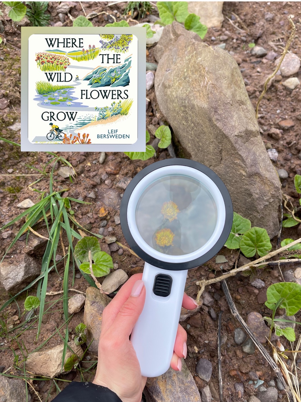 Where the Wild Flowers Grow by Leif Bersweden – Book Review